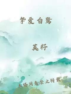 挚爱白鹭