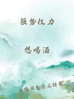 强势权力